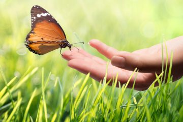 Green/Eco Friendly Moving Supply Options